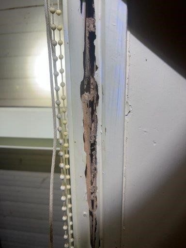 Termite damage in a wall | Featured image for the What to do if You Find Termites Blog from ASBIR.